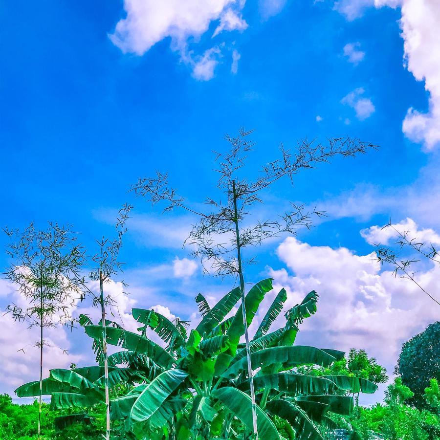 La Plumerias โมอัลโบอัล ภายนอก รูปภาพ